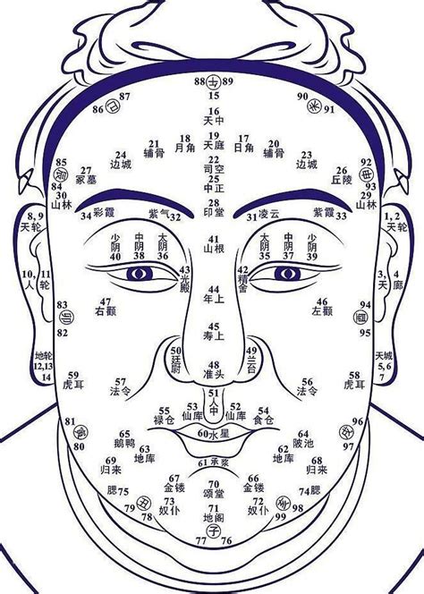 面相分析图|面相学图解